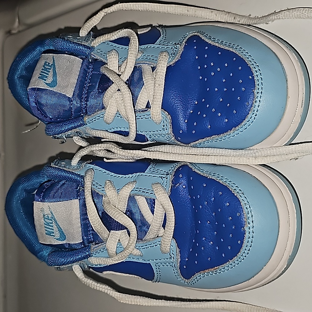 Dunk Lows Retro "Argan Blue"